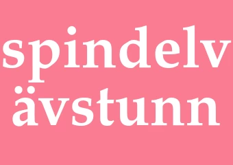 Synonym spindelvävstunn