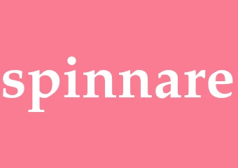 Synonym spinnare