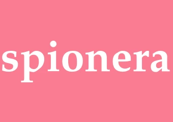 Synonym spionera