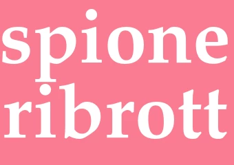 Synonym spioneribrott