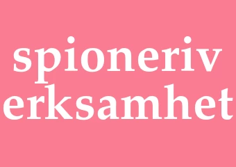 Synonym spioneriverksamhet