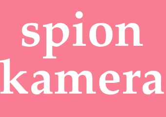 Synonym spionkamera