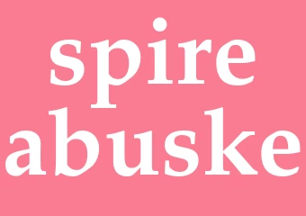Synonym spireabuske