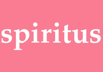 Synonym spiritus