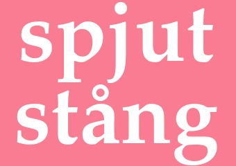 Synonym spjutstång