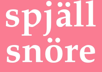 Synonym spjällsnöre
