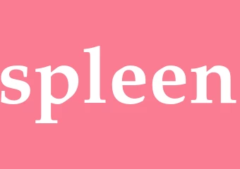 Synonym spleen