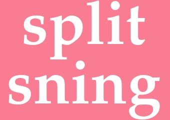 Synonym splitsning