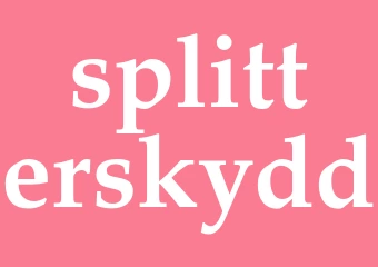 Synonym splitterskydd