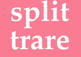 Synonym splittrare