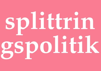Synonym splittringspolitik