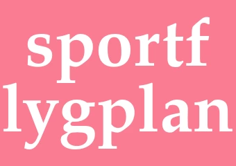 Synonym sportflygplan