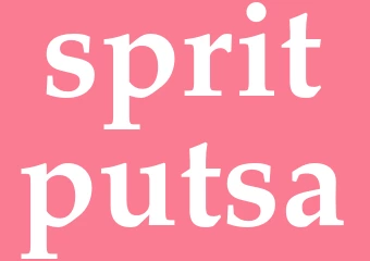 Synonym spritputsa