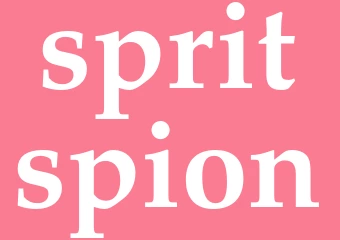 Synonym spritspion