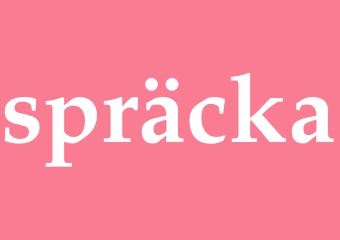 Synonym spräcka