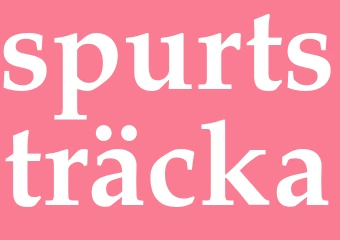 Synonym spurtsträcka