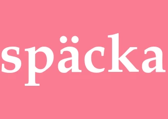 Synonym späcka