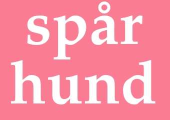 Synonym spårhund