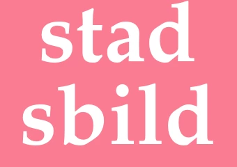 Synonym stadsbild