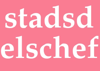 Synonym stadsdelschef