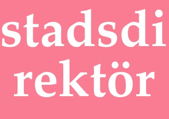 Synonym stadsdirektör
