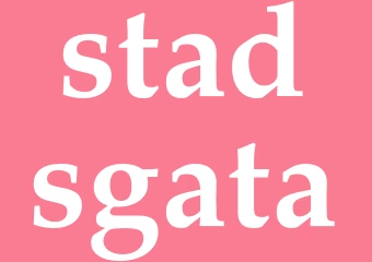 Synonym stadsgata