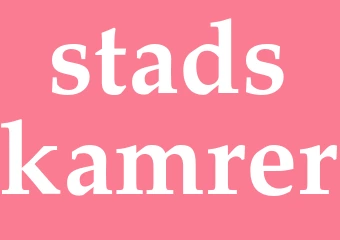 Synonym stadskamrer