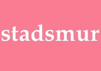 Synonym stadsmur