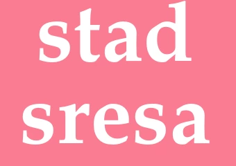 Synonym stadsresa