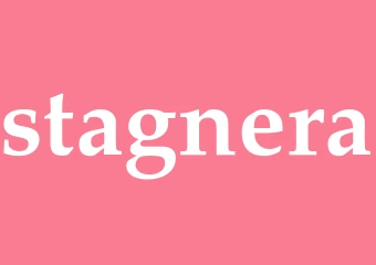 Synonym stagnera