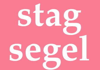 Synonym stagsegel