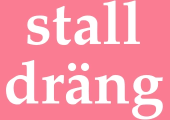 Synonym stalldräng