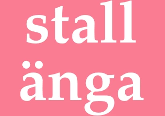 Synonym stallänga
