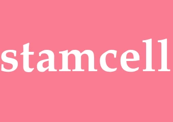 Synonym stamcell
