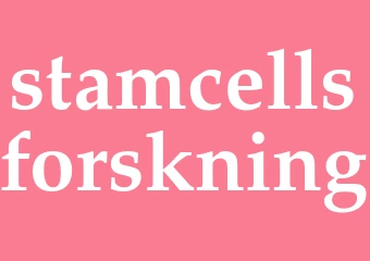 Synonym stamcellsforskning
