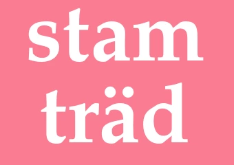 Synonym stamträd
