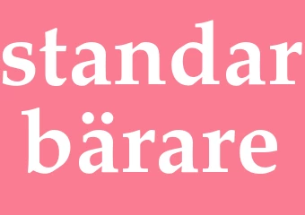 Synonym standarbärare