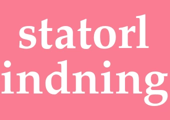 Synonym statorlindning