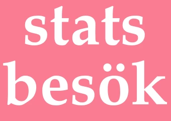 Synonym statsbesök