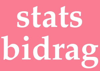 Synonym statsbidrag