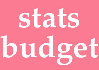 Synonym statsbudget
