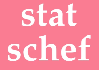 Synonym statschef
