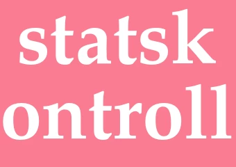 Synonym statskontroll