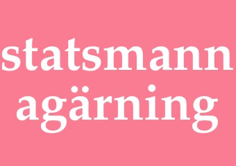 Synonym statsmannagärning