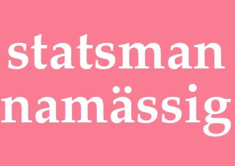 Synonym statsmannamässig