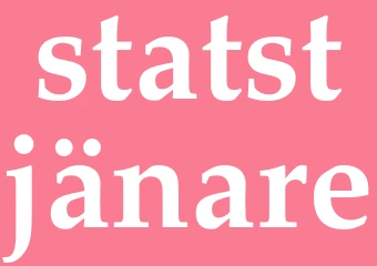 Synonym statstjänare