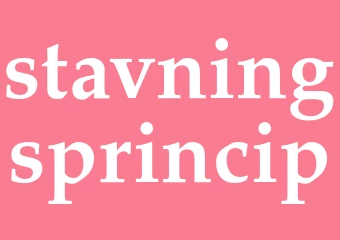 Synonym stavningsprincip