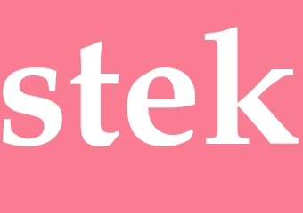 Synonym stek
