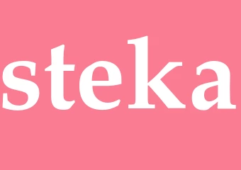Synonym steka