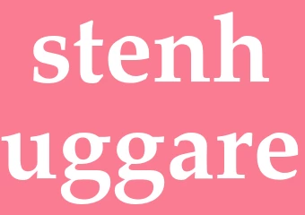 Synonym stenhuggare